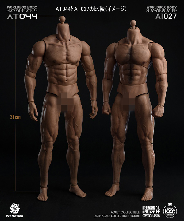 WorldBox】AT044 1/6 Durable Body 1/6スケール 男性ボディ素体