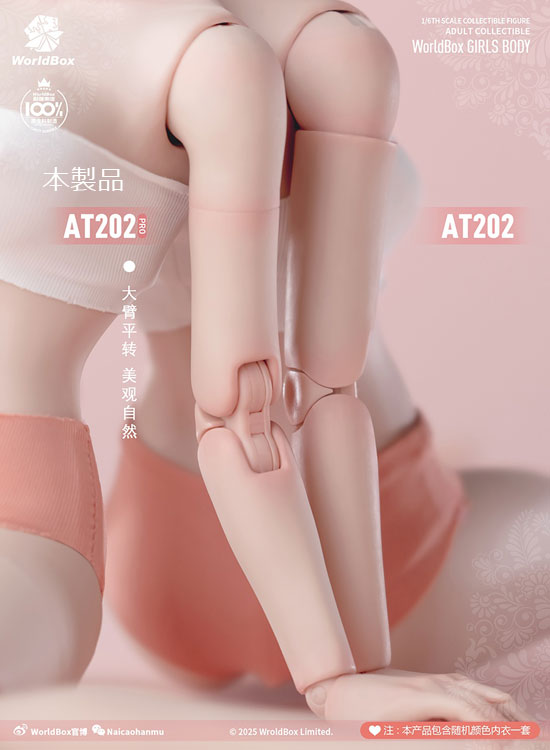 WorldBox】AT202PRO 1/6 Girl Body ガールボディ 1/6スケール 女性