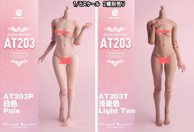 WorldBox】AT203P/AT203T 1/6 Girl Body ガールボディ スモールバスト