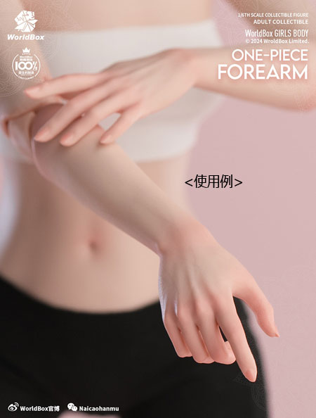 WorldBox】1/6 Girl Body One Piece FOREARM AT208A/B 女性ボディ専用