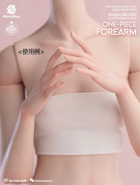WorldBox】1/6 Girl Body One Piece FOREARM AT208A/B 女性ボディ専用