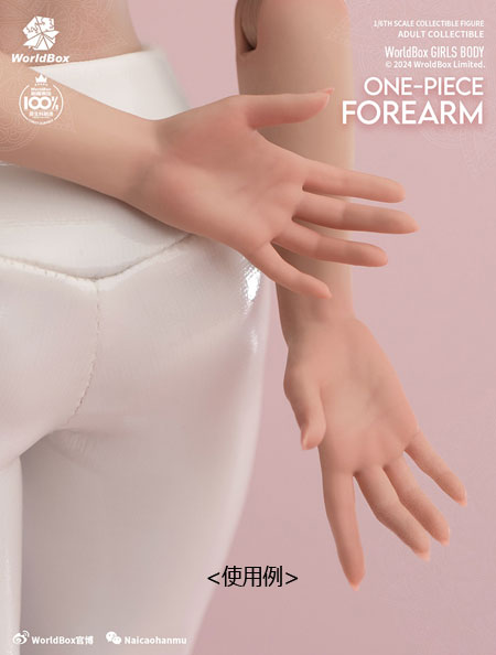 WorldBox】1/6 Girl Body One Piece FOREARM AT208A/B 女性ボディ専用