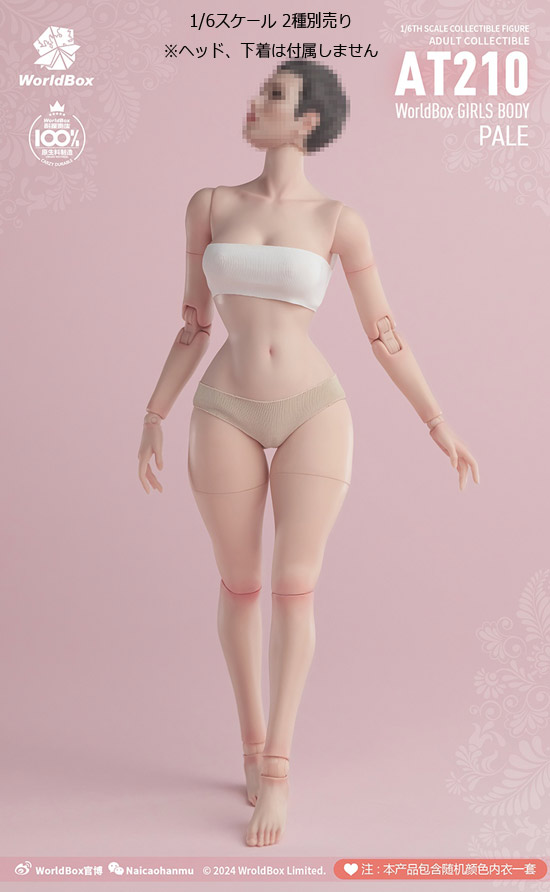 1/6デュラブル女性素体スリムウエストA（Pale Skin）WB-AT210A s-l400.jpg