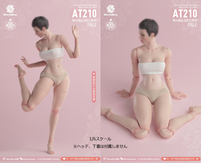 1/6デュラブル女性素体スリムウエストA（Pale Skin）WB-AT210A Amazon.com: 1/6 Scale Female Body,12inch Worldbox Female