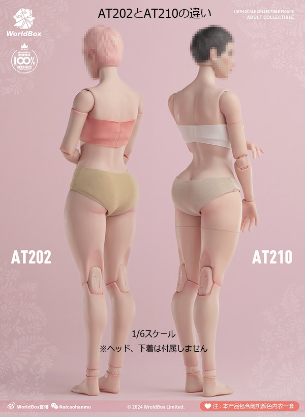 WorldBox】AT210 1/6 Girl Body ガールボディ ワスプウエスト 1