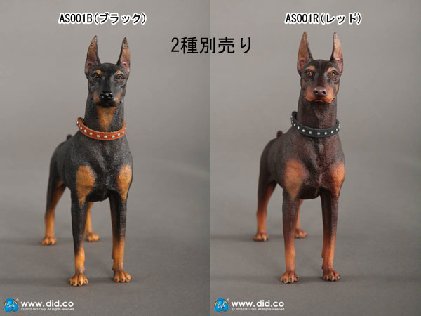 DID】AS001B AS001R Animal series Doberman Pinscher 1/6スケール 犬
