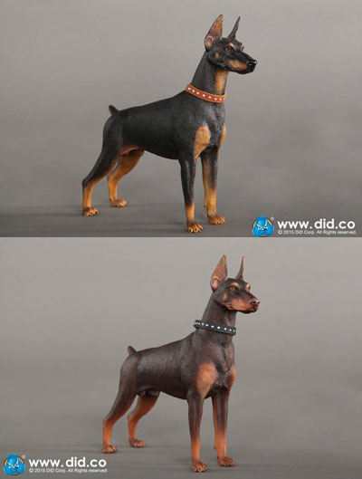 DID】AS001B AS001R Animal series Doberman Pinscher 1/6スケール 犬
