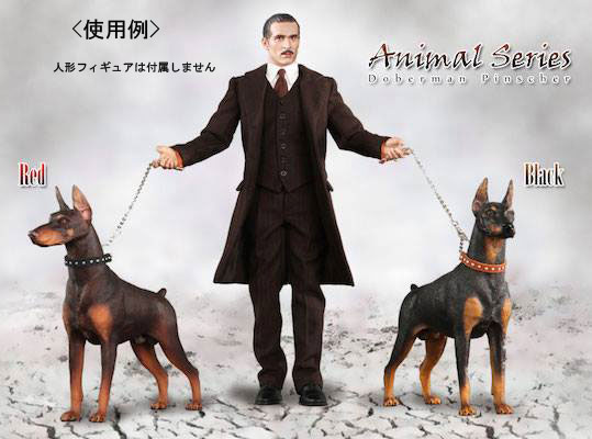 DID】AS001B AS001R Animal series Doberman Pinscher 1/6スケール 犬