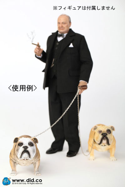 DID】AS002 Animal series British Bulldog 1/6スケール 犬
