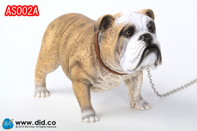つかいふるしのいぬ DID】AS002 Animal series British Bulldog 1/6スケール 犬