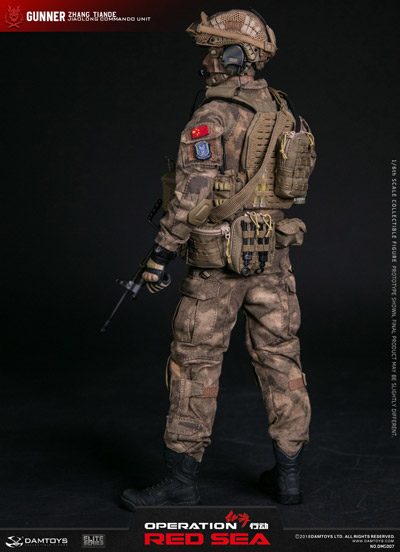 DAM】DMS007 ELITE SERIES 1/6 OPERATION RED SEA 紅海行動