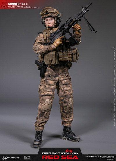 DAMTOYS 1/6 紅海行動 中国人民解放軍海軍 特種部隊 LU CHEN DAMTOYS 1/6 紅海行動 中国人民解放軍海軍 特種部隊 LU CHEN