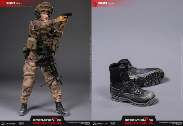 DAM】DMS015 ELITE SERIES 1/6 OPERATION RED SEA 紅海行動