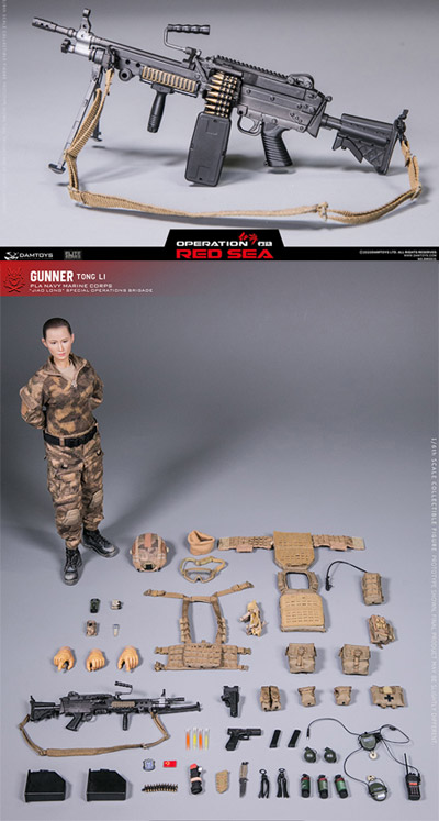 DAM】DMS015 ELITE SERIES 1/6 OPERATION RED SEA 紅海行動