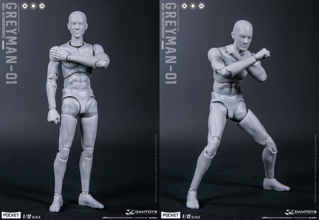 DAM】DPS11 1/12 SCALE ACTION FIGURE “GREYMAN” グレイマン デッサン