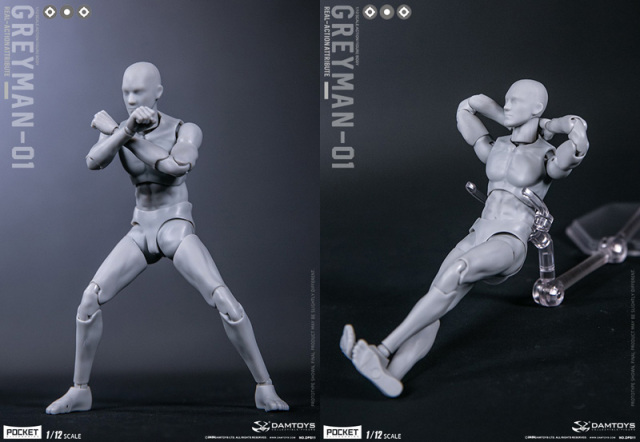 DAM】DPS11 1/12 SCALE ACTION FIGURE “GREYMAN” グレイマン