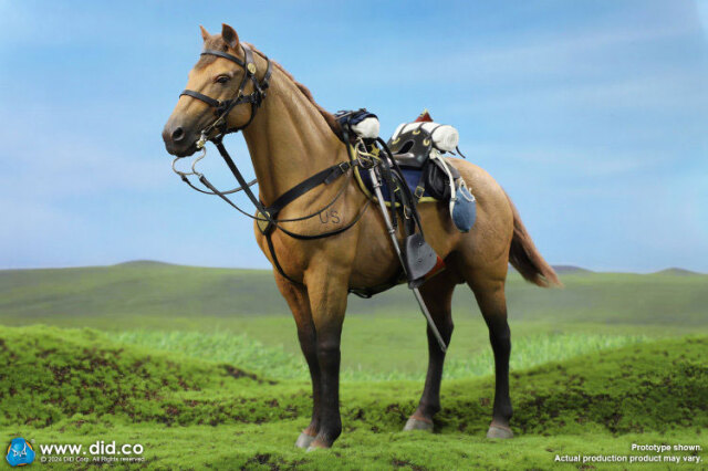 DID】E60076 U.S. Civil War Brown War Horse (Standing