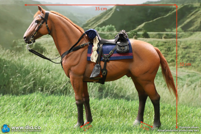 最安挑戦！ DID】E60082 Brown-Red War Horse (Standing) ネイサン大尉 愛馬 絵画