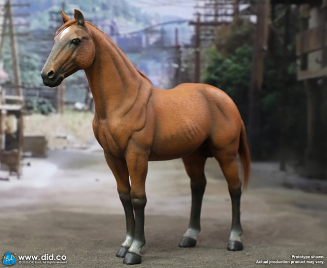 DID】E60082 Brown-Red War Horse (Standing) ネイサン大尉 愛馬