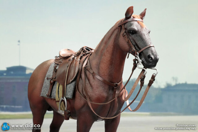 DID】E60084 WW2 German Brown War Horse (Standing) WW2ドイツ軍 軍馬