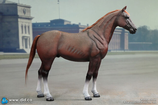 DID】E60084 WW2 German Brown War Horse (Standing) WW2ドイツ軍 軍馬