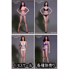 EDATION】HOTSTUFF HS0601/HS0602/HS0603/HS0604 1:6 Female Seamless