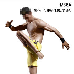 TBLeague】PL2018-M36A male super flexible seamless body with metal