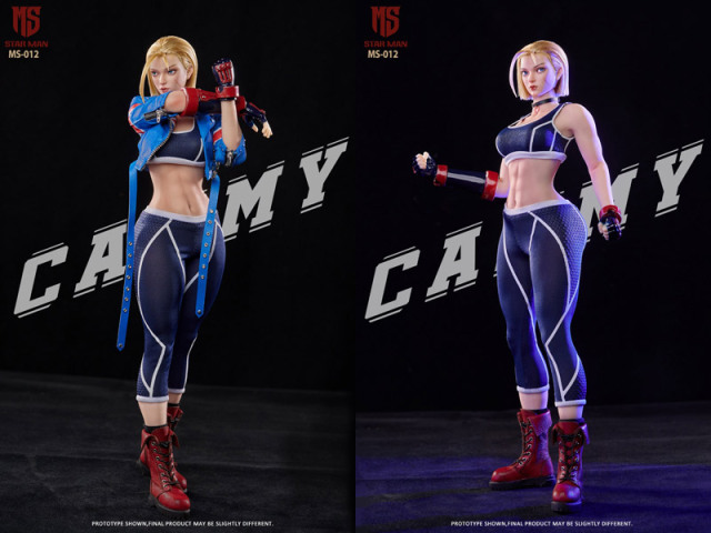 星漫 STAR MAN】MS-012 1/6 Female Agent-Blue Bee エージェント