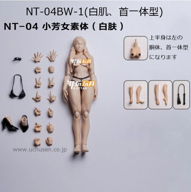 NOTTAA】NT-04BW-1 / NT-04BW-2 / NT-04BY-1 / NT-04BY-2 1/12