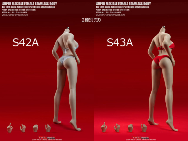 TBLeague】Female Super Flexible Seamless Bodies PLLB2020-S42A