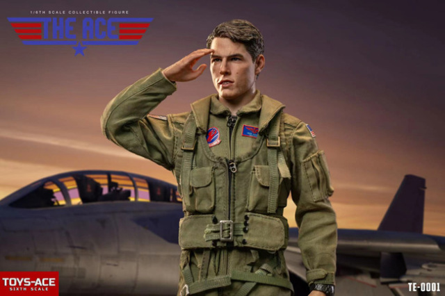 TOYS ACE】TE-0001 1/6 The Ace Figure アメリカ海軍 艦上戦闘機F-14