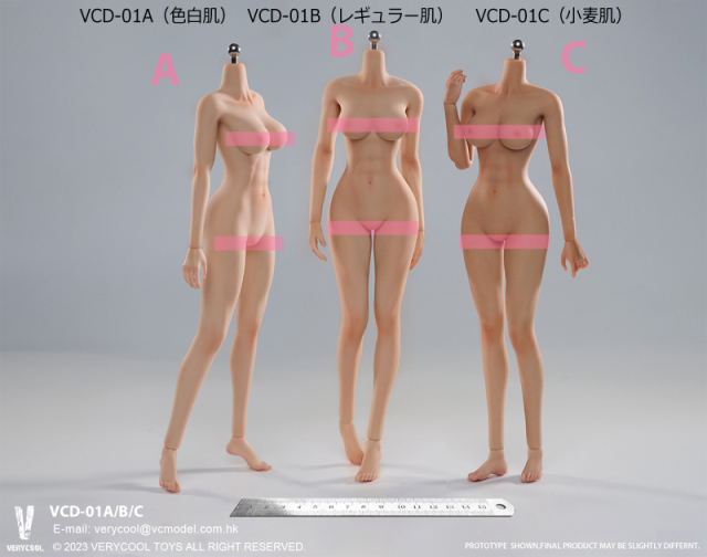 VeryCool】BODY NO.1 VCD-01 / BODY NO.2 VCD-02 ABC 1/6 medium chest