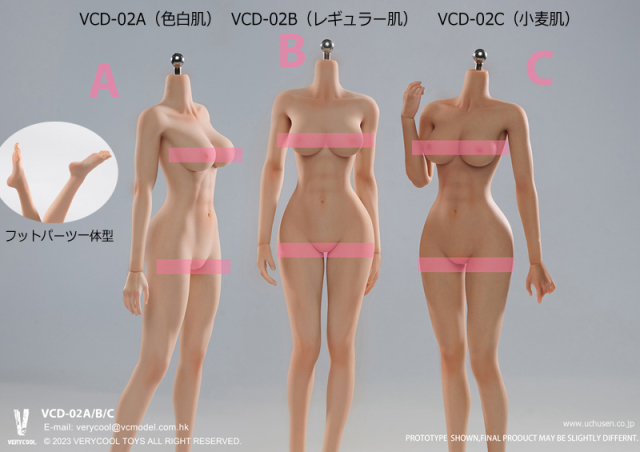 VeryCool】BODY NO.1 VCD-01 / BODY NO.2 VCD-02 ABC 1/6 medium chest