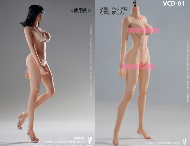 VeryCool】BODY NO.1 VCD-01 / BODY NO.2 VCD-02 ABC 1/6 medium chest