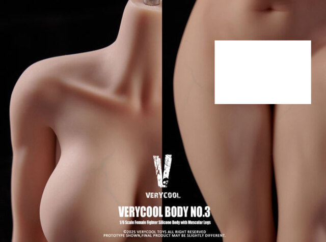 VeryCool】BODY NO.3 VCD-03 ABC 1/6 Silicone Female Body 1/6