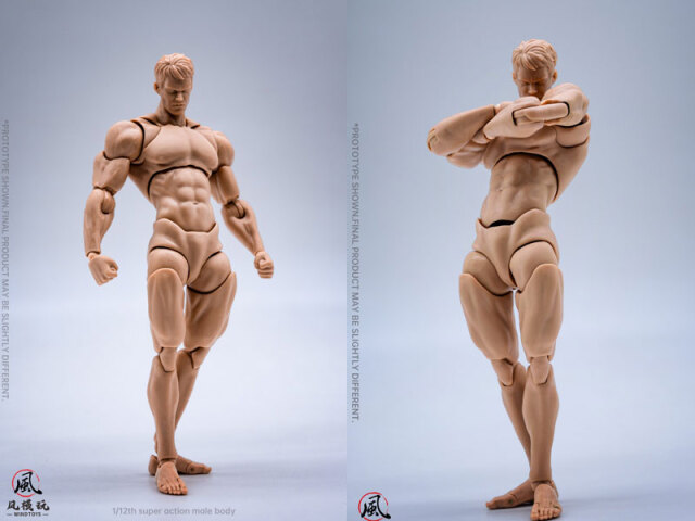 WindToys】WT001-A / WT001-B / WT001-C 1/12 超可動男性素体