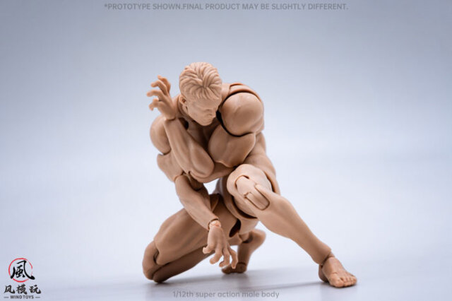 WindToys】WT001-A / WT001-B / WT001-C 1/12 超可動男性素体