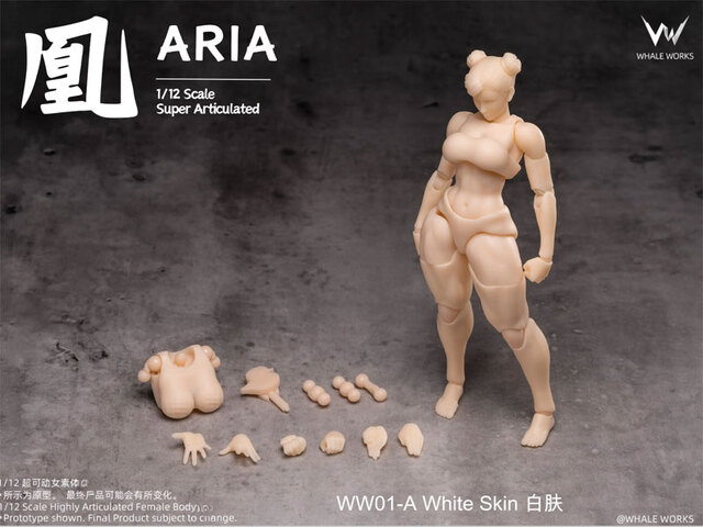 Whale Works】WW01 WW02 A/B/C 1/12 Super Movable Female Figure ARIA
