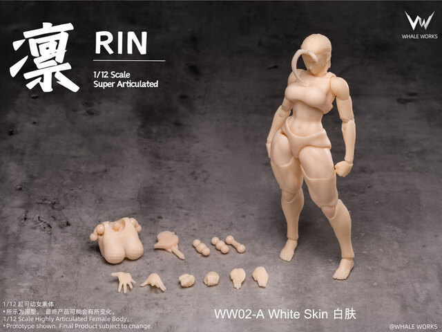 Whale Works】WW01 WW02 A/B/C 1/12 Super Movable Female Figure ARIA