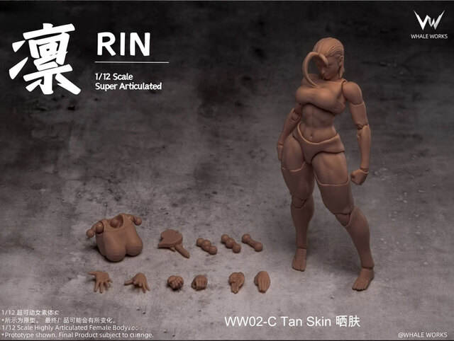 Whale Works】WW01 WW02 A/B/C 1/12 Super Movable Female Figure ARIA