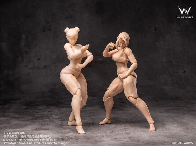 Whale Works】WW01 WW02 A/B/C 1/12 Super Movable Female Figure ARIA