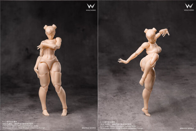 Whale Works】WW01 WW02 A/B/C 1/12 Super Movable Female Figure ARIA