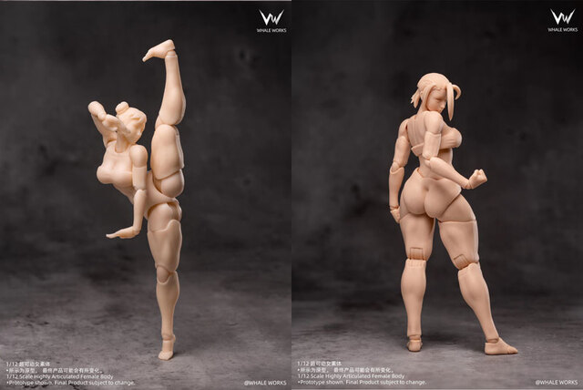 Whale Works】WW01 WW02 A/B/C 1/12 Super Movable Female Figure ARIA