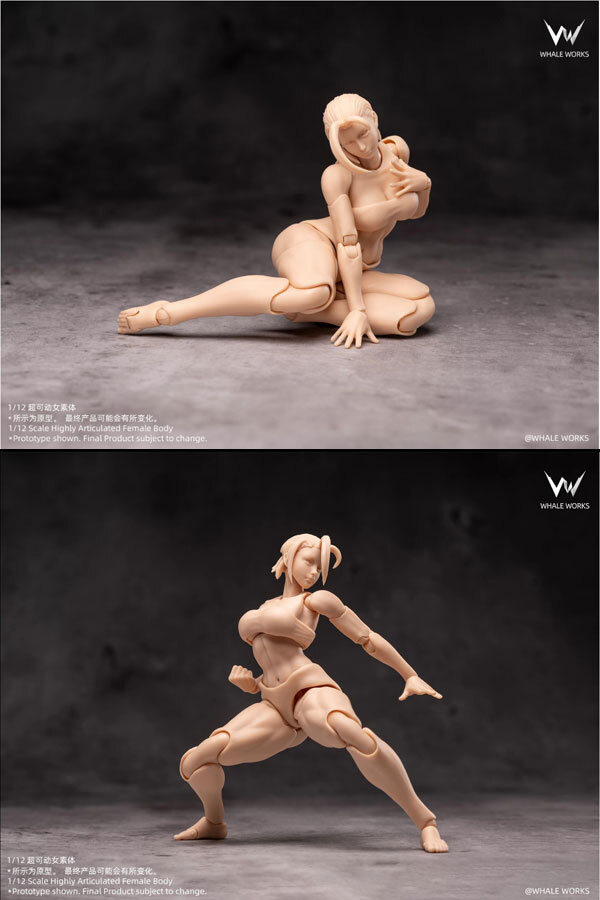 Whale Works】WW01 WW02 A/B/C 1/12 Super Movable Female Figure ARIA