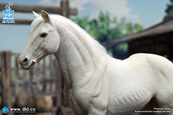 DID】XH80021 1/12 Palm Hero Series White Horse 戦国時代 白馬 騎馬