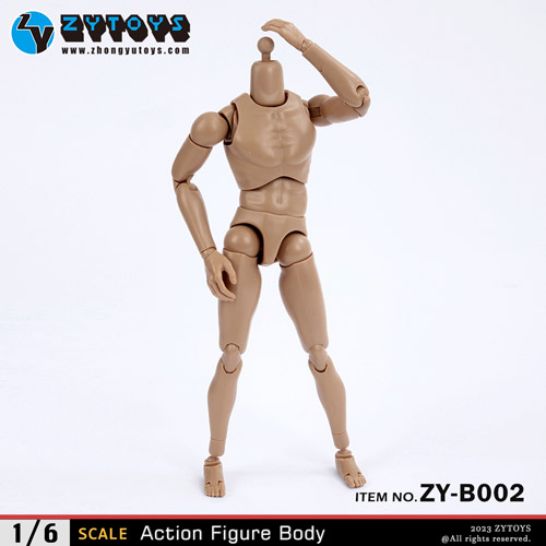ZYTOYS】ZY-B002 ワイドショルダー 1/6スケール 男性フィギュア