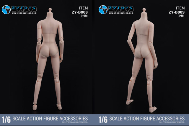 ZYTOYS】ZY-B008 / ZY-B009 Chested White-Muscled Female Body