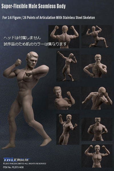 TBLeague】male seamless body PL2015-M30 TBリーグ 1/6スケール