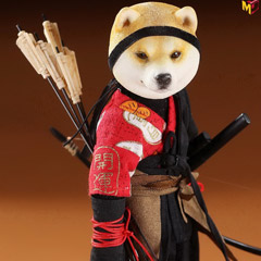 MR.Z】7
