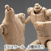 truboysmodel PLAYTOY】female body 2.0 S003 M003 L003 XL003 1/6スケール 女性ボディ素体